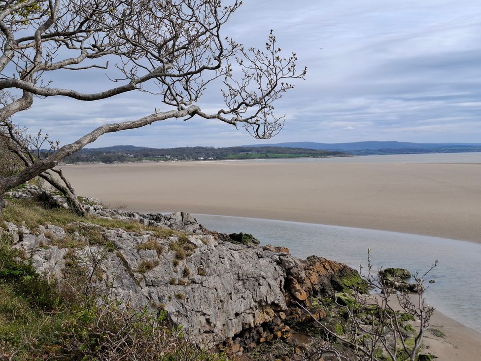 A coastal view with rocks and a tree at 28 Rock Villas Silverdale