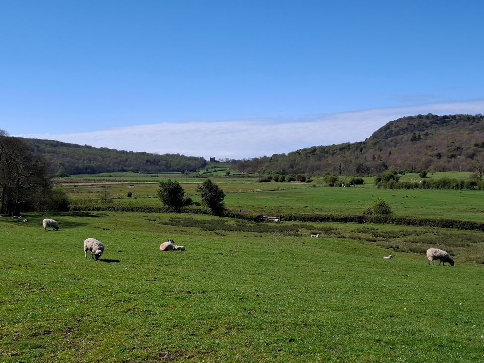 A landscape with sheep grazing in a field at 28 Rock Villas Silverdale