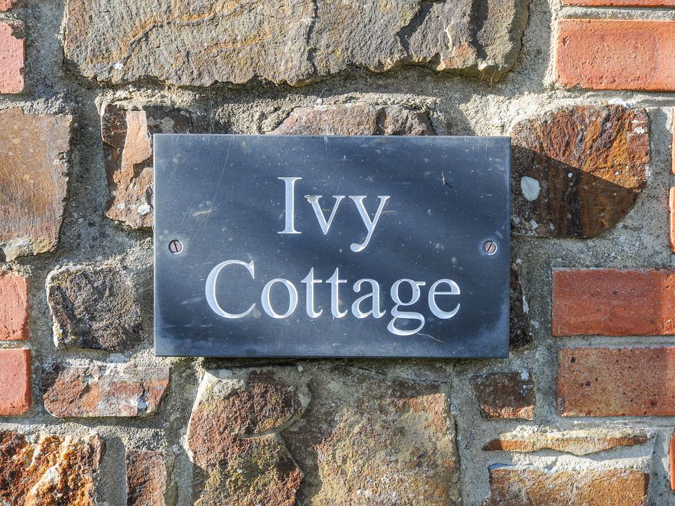 Ivy Cottage - Cornwall - 1163836 - thumbnail photo 24