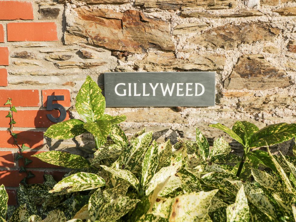 Gillyweed - Devon - 1163882 - thumbnail photo 28