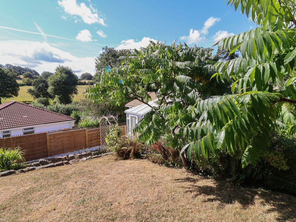 A garden with a tree and a house at Little Willesleigh in Goodleigh near Barnstaple