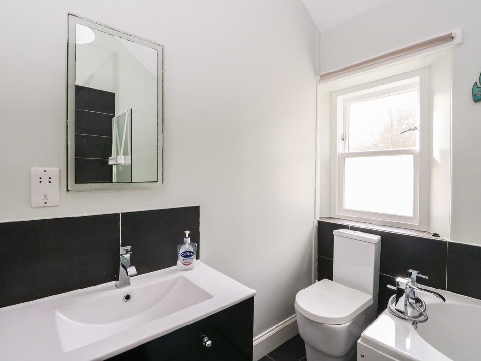 A bathroom with a sink and toilet at South Lodge Ardpatrick near Tarbert