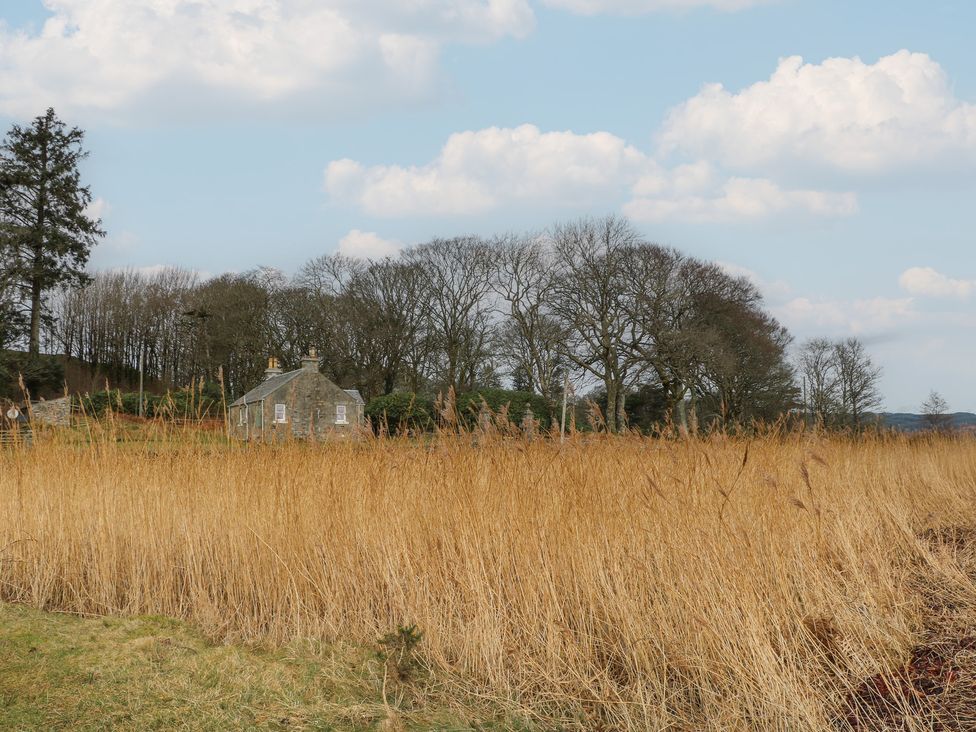 A house surrounded by trees and grass at South Lodge in Ardpatrick near Tarbert