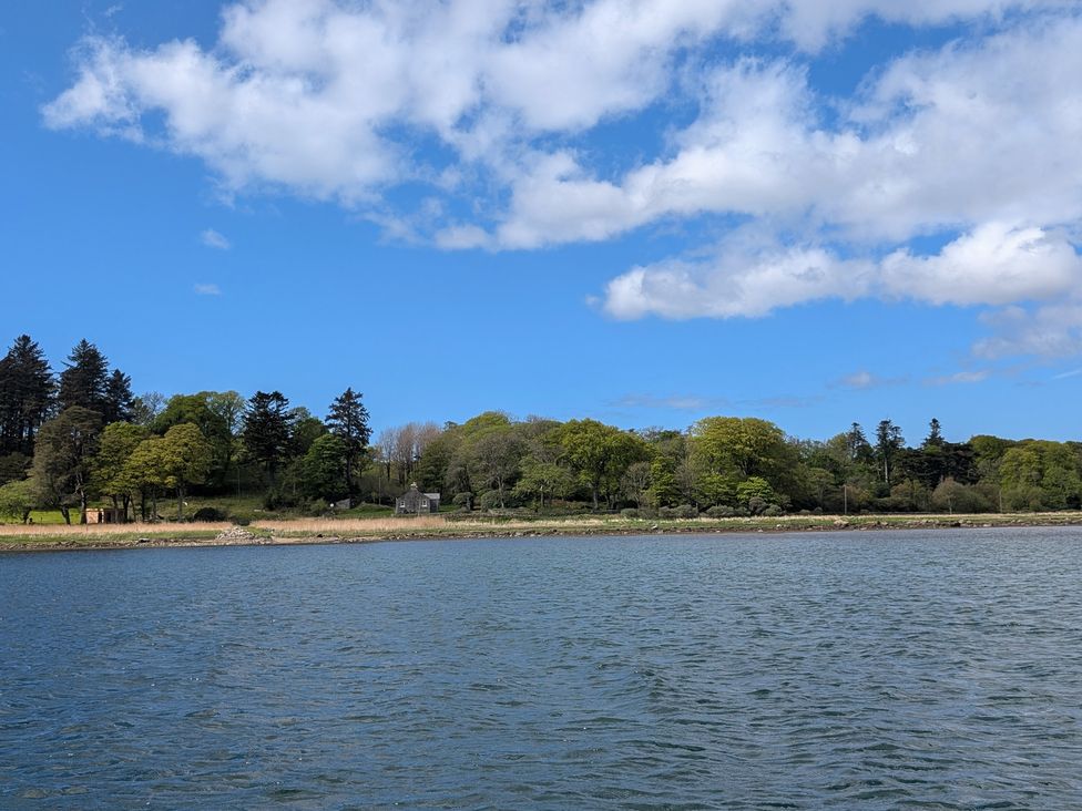 A view of a shoreline with trees and a building at Ardpatrick South Lodge near Tarbert