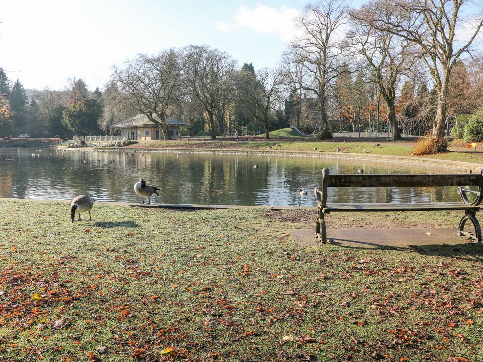 A pond with geese and a bench at Pavilion Suite in Buxton