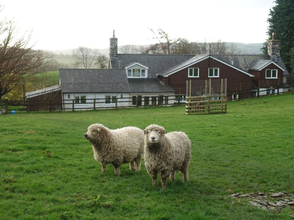 Two sheep in a field with a farmhouse in the background at Bryn Y Garreg - The Wireless Free Farm (No Tech!) Llangadfan near Llanwddyn