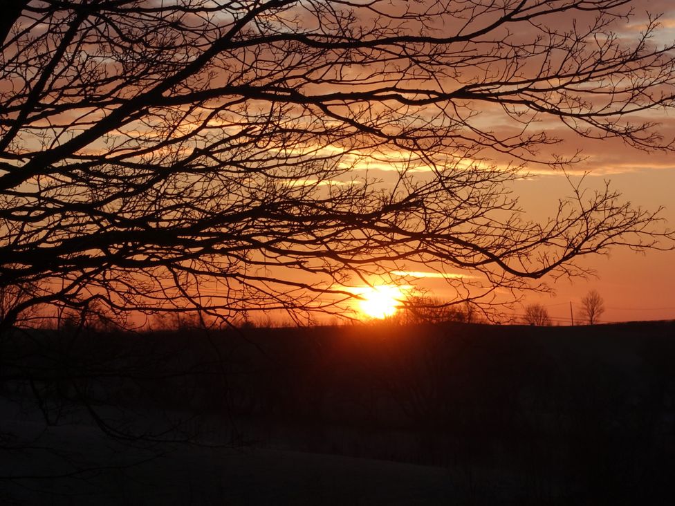 Sunset view with tree branches in silhouette at Bryn Y Garreg - The Wireless Free Farm (No Tech!) Llangadfan near Llanwddyn