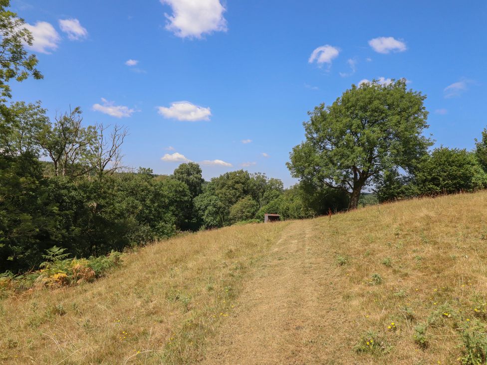 An outdoor area with a path and trees at Bryn Y Garreg Cottage - The Wireless Free Farm in Llangadfan near Llanwddyn