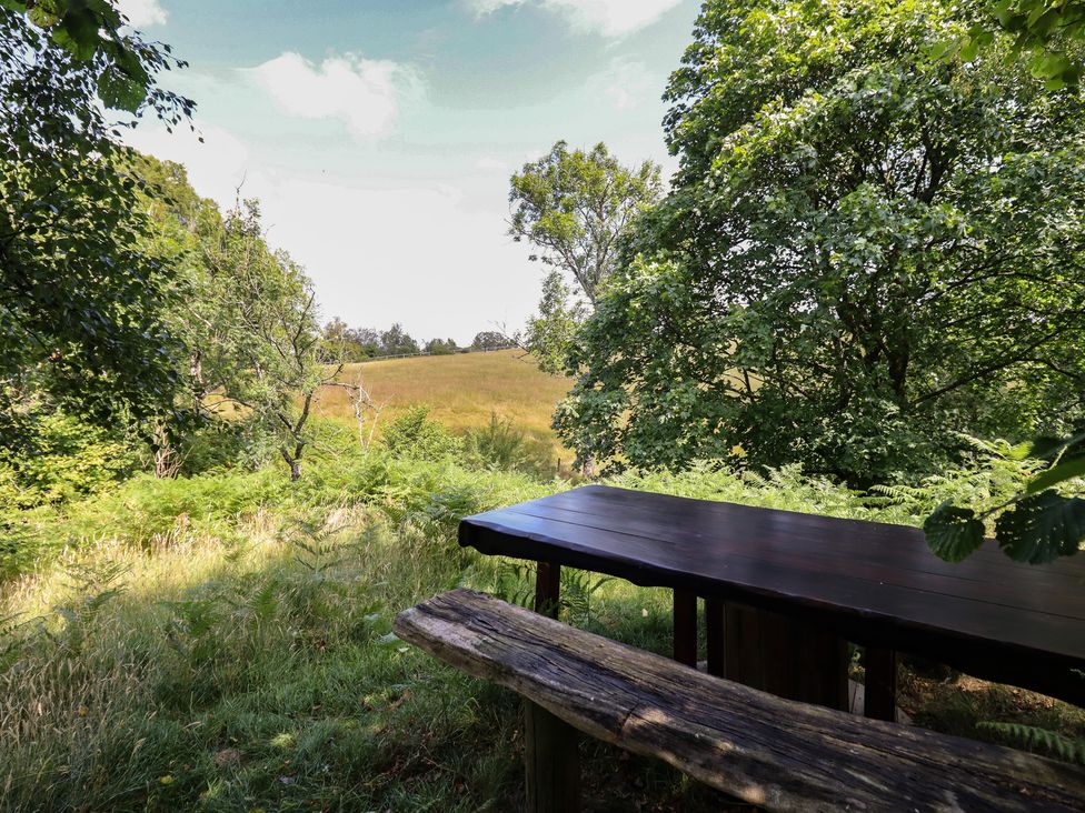 A table and bench surrounded by trees and grass near a field at Bryn Y Garreg Cottage - The Wireless Free Farm, Llangadfan near Llanwddyn