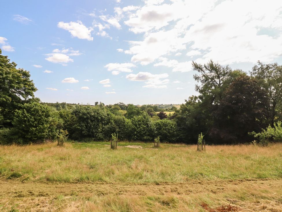 A landscape with grass, trees, and a blue sky at Bryn Y Garreg Cottage - The Wireless Free Farm in Llangadfan near Llanwddyn