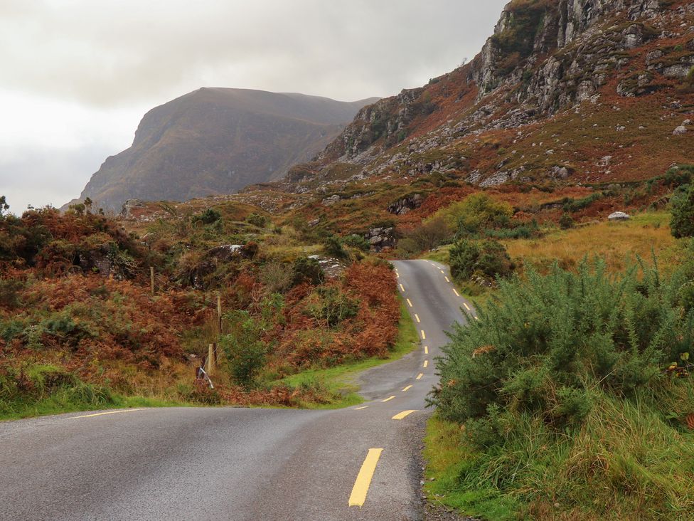 Susie's Cottage - County Kerry - 1164014 - thumbnail photo 36