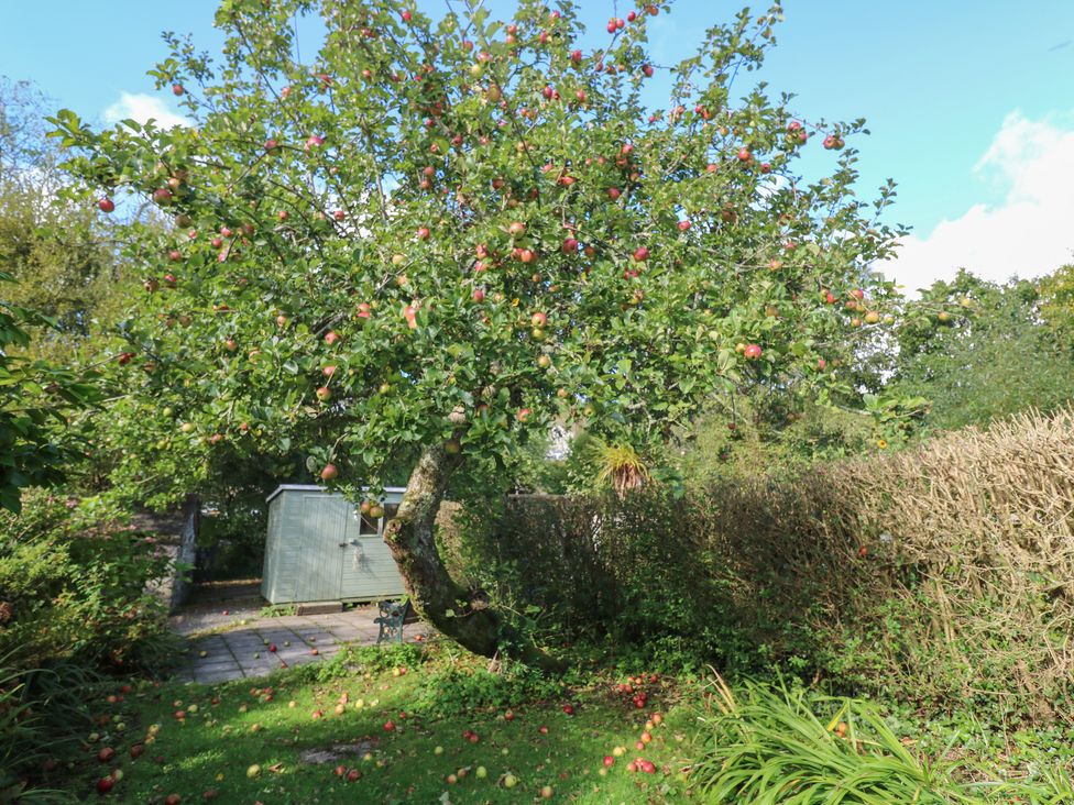 Apple Tree Cottage - Cornwall - 1164046 - thumbnail photo 24