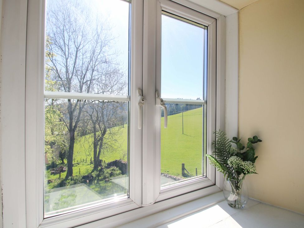 A window showing greenery and a plant at Beach Farmhouse in Bishops Castle