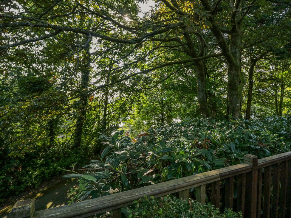 Tree House, Partial Lake Views - Lake District - 1164164 - thumbnail photo 36