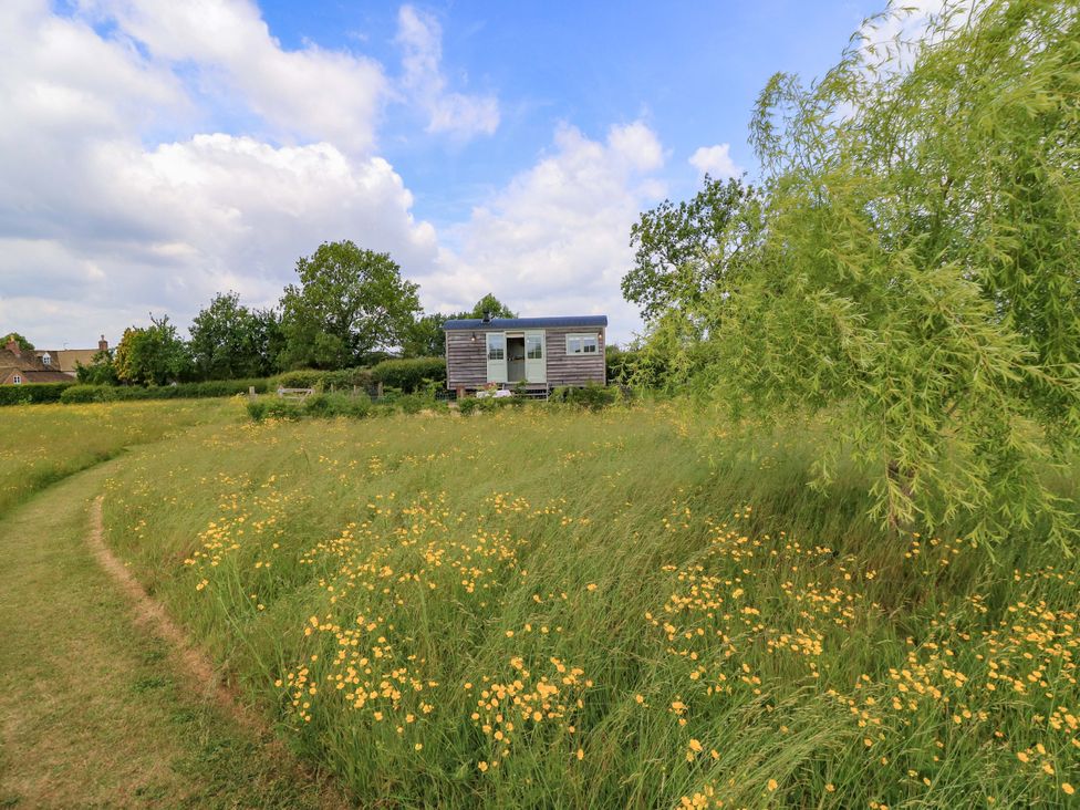 A house surrounded by grass and flowers at Goose Whistle Hut in Foxham