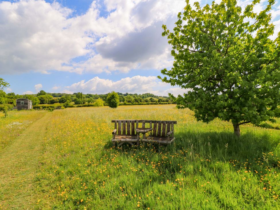 A bench near a tree in a field with flowers at Goose Whistle Hut in Foxham