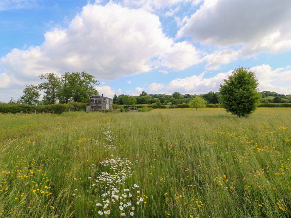 A field with wildflowers and a shed at Goose Whistle Hut in Foxham