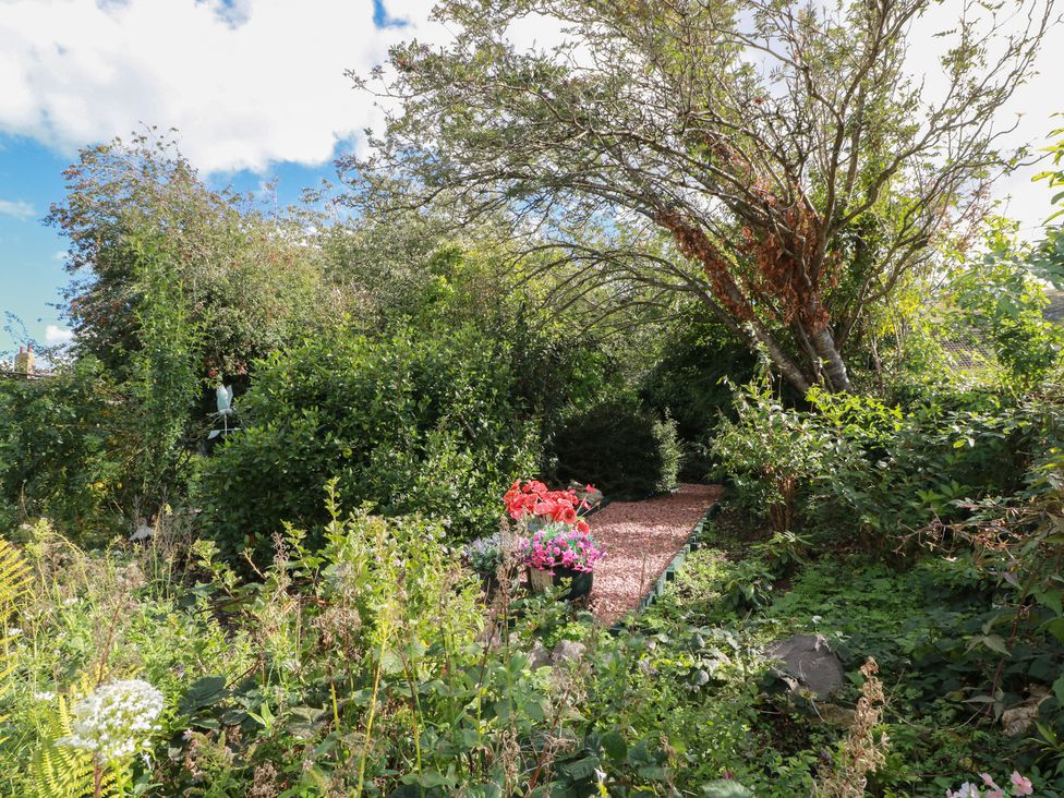 A garden pathway surrounded by greenery and flowers at Rowantree Cottage in Kelso