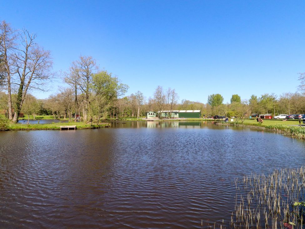 A pond surrounded by trees and cars at Lakeside Lodge Bowland Lakes Leisure Village near Garstang