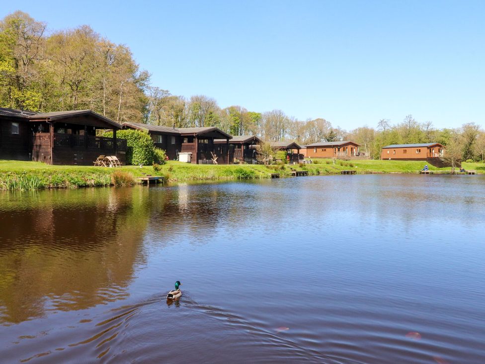 A lake with cabins and a duck at Lakeside Lodge near Bowland Lakes Leisure Village