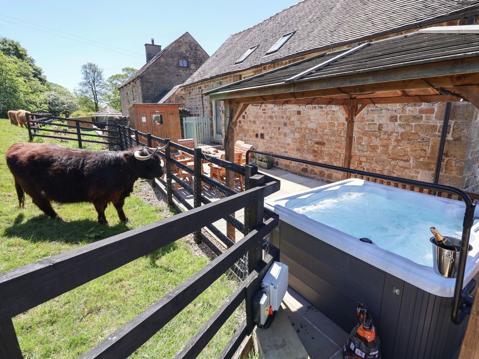 An outdoor hot tub with a bottle of champagne near a fenced grassy area with a black cow and wooden benches outside a stone building at Parlour Barn in Leek