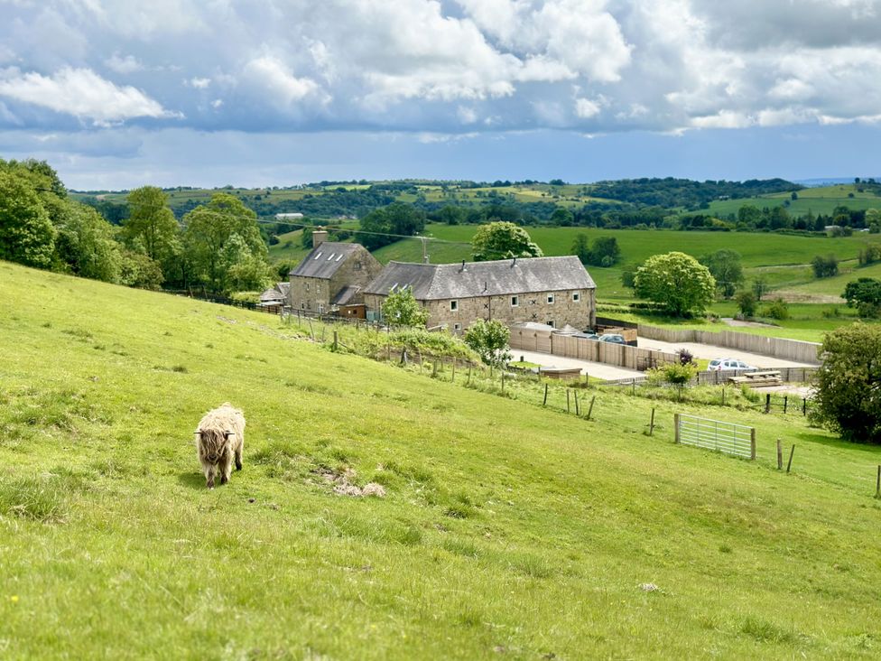 A sheep in a field with farmhouse and trees at Parlour Barn Leek