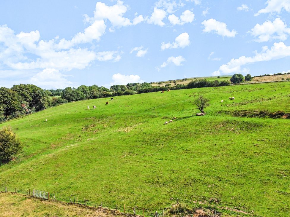 A field with cows grazing on grass at Parlour Barn in Leek