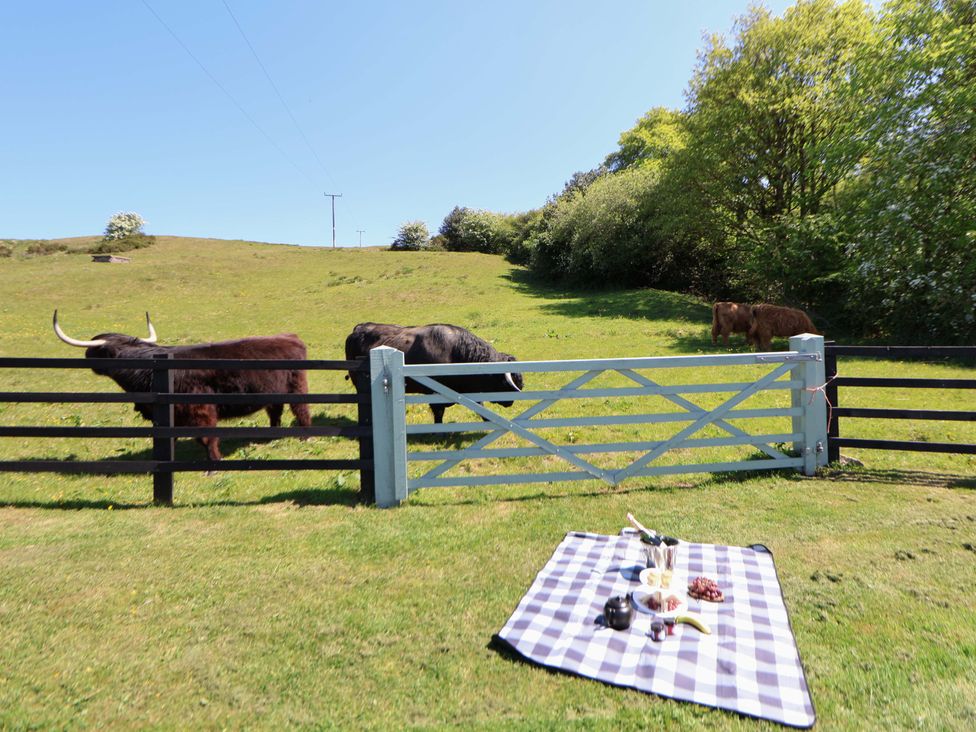 A picnic blanket with food near a gate and a fenced grassy field with cows and trees at HollyDale in Bradnop near Leek