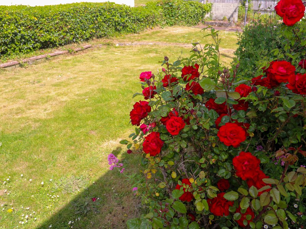 Karenza - Cornwall - 1164447 - thumbnail photo 46