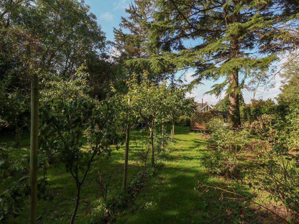 A garden with trees and grass at The Cabin at Little Timbers Ringwood