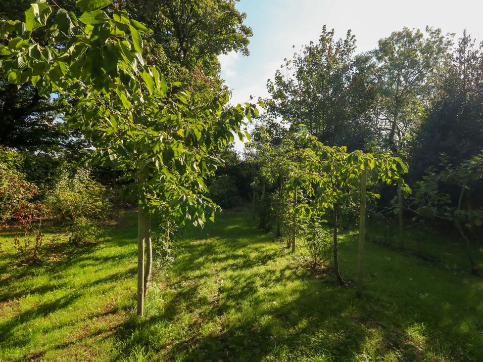 A garden with trees and grass at The Cabin at Little Timbers in Ringwood