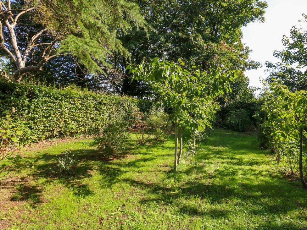 A garden with trees and bushes at The Cabin at Little Timbers Ringwood