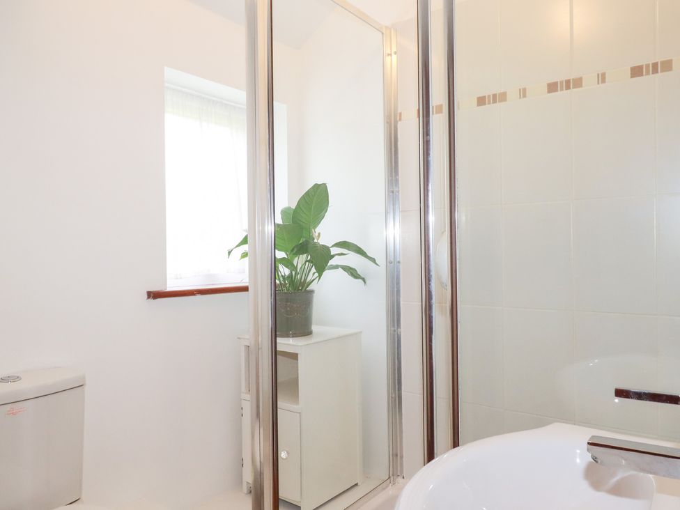 A bathroom with a shower and plant at Rosemaddon Crantock