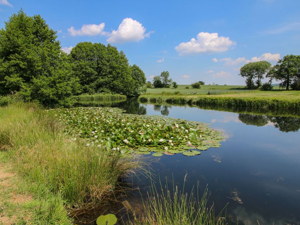 A pond with lilies and trees at Upper Home Farm near Cardington