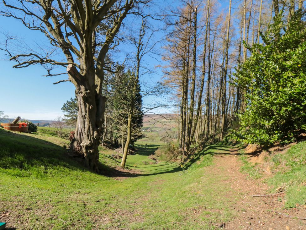 A path bordered by trees leading through a grassy area at Maltkiln House Annexe Chop Gate near Stokesley