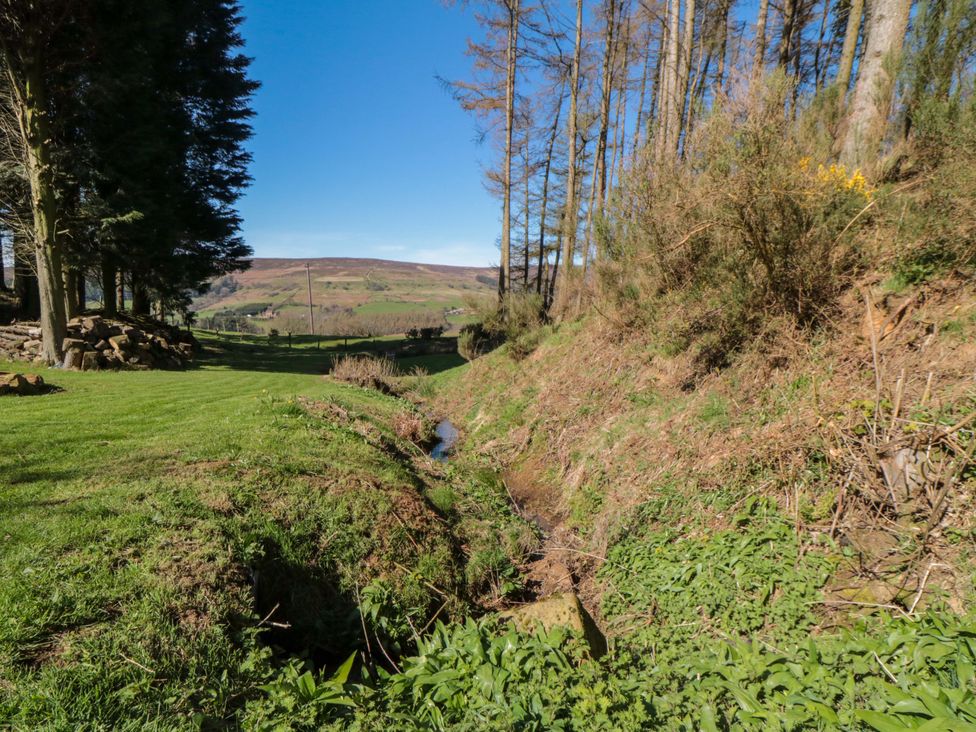 A grassy area with trees and a stream at Maltkiln House Annexe Chop Gate near Stokesley