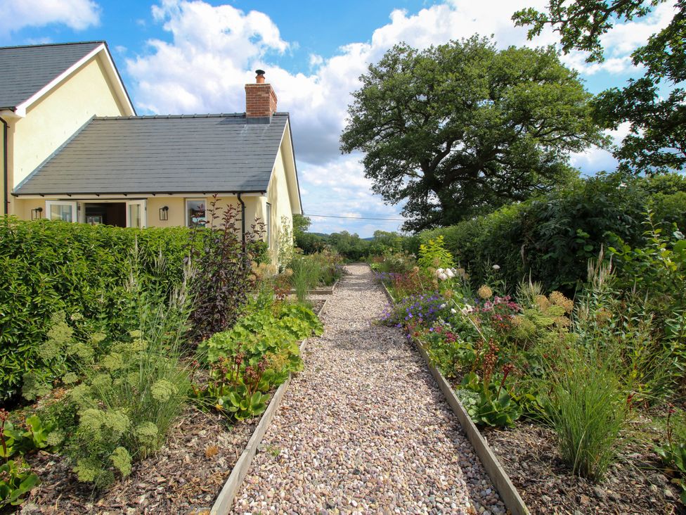 A garden path with plants and house at Hoddell Pitch Cottage Kinnerton near New Radnor