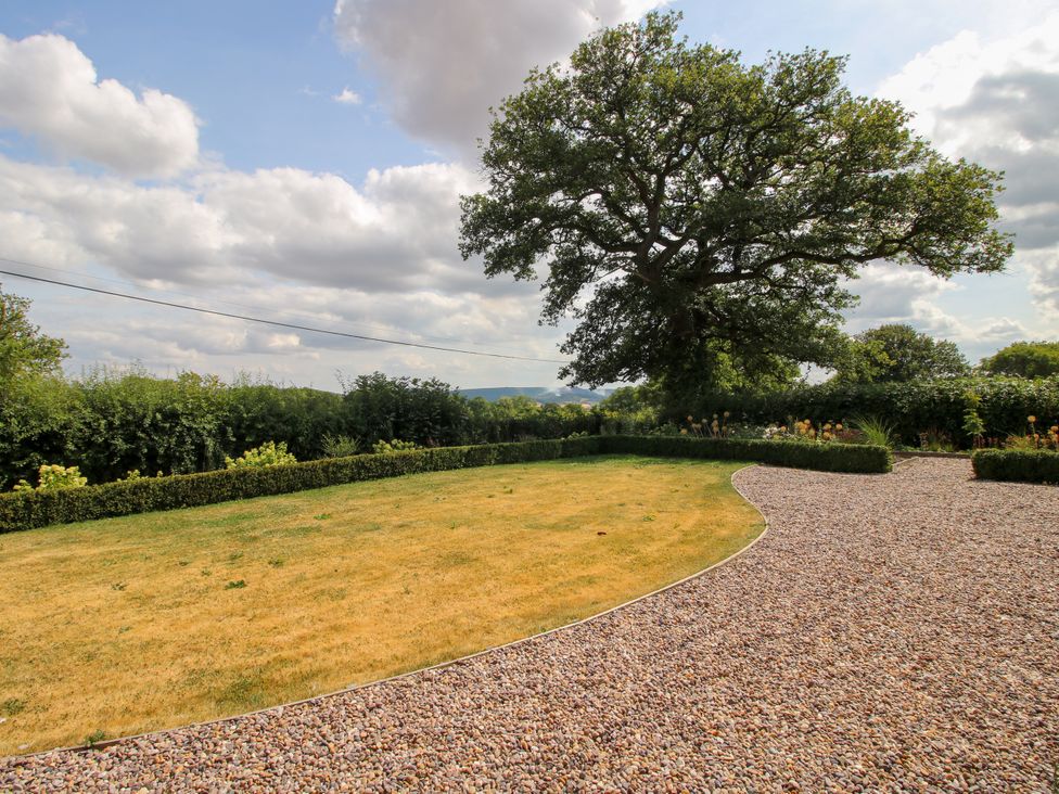 A garden with a tree and gravel path at Hoddell Pitch Cottage Kinnerton near New Radnor