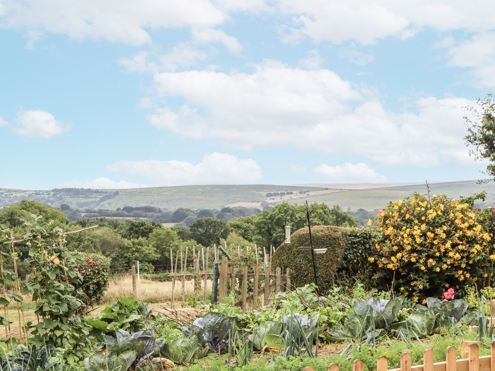 A vegetable garden with cabbages and a flowering bush at Aunty Junes Cottage Okehampton