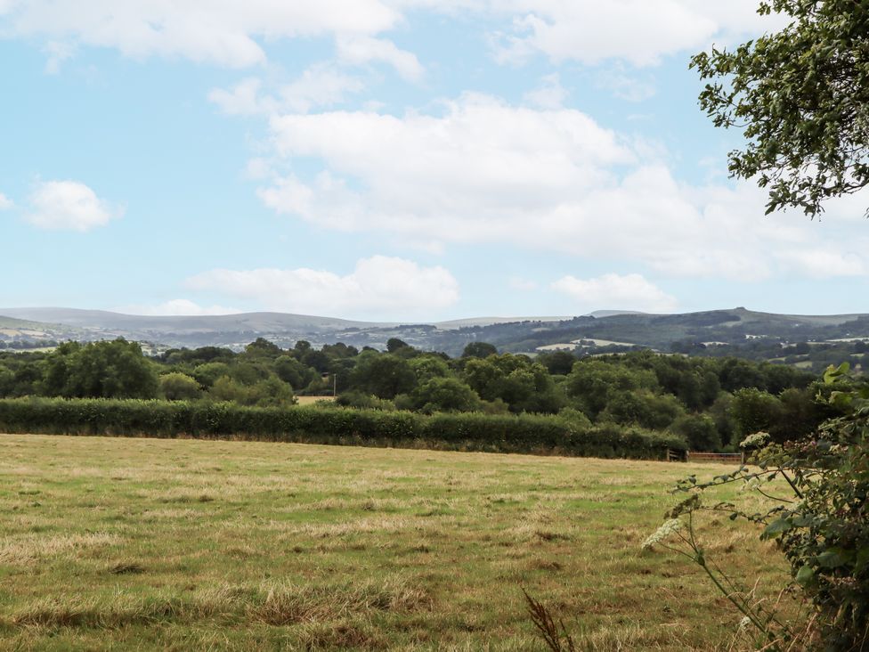 A field with trees and hills in the background at Aunty Junes Cottage Okehampton