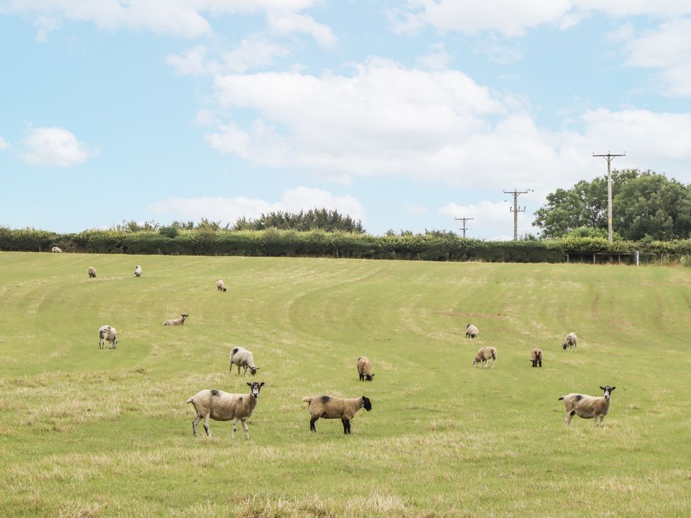 Aunty Junes Cottage - Devon - 1165070 - thumbnail photo 42