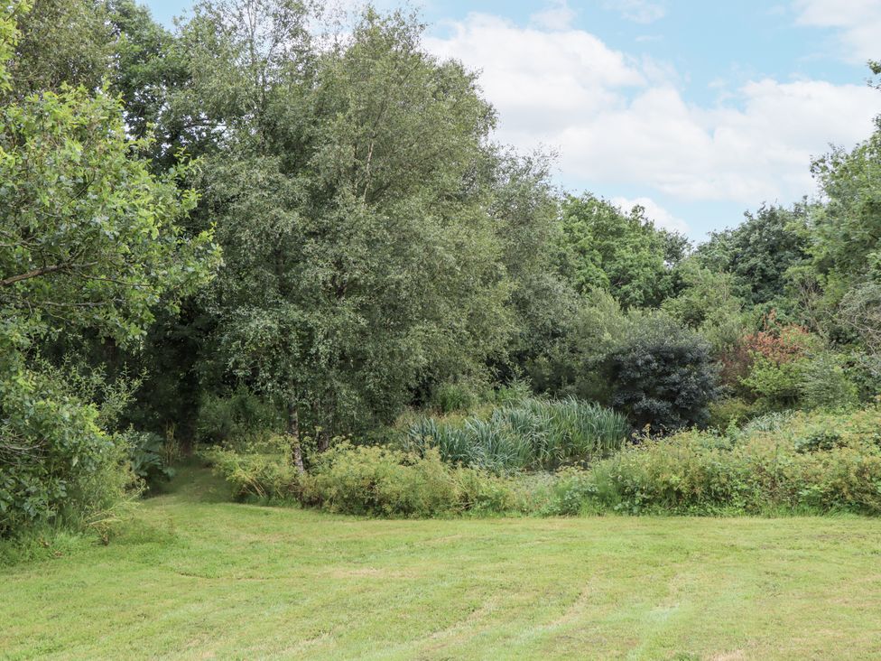 A natural landscape with trees and grass at Aunty Junes Cottage in Okehampton