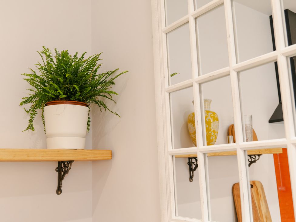 A kitchen corner with a plant on a shelf at 33 Lorne Street Chester
