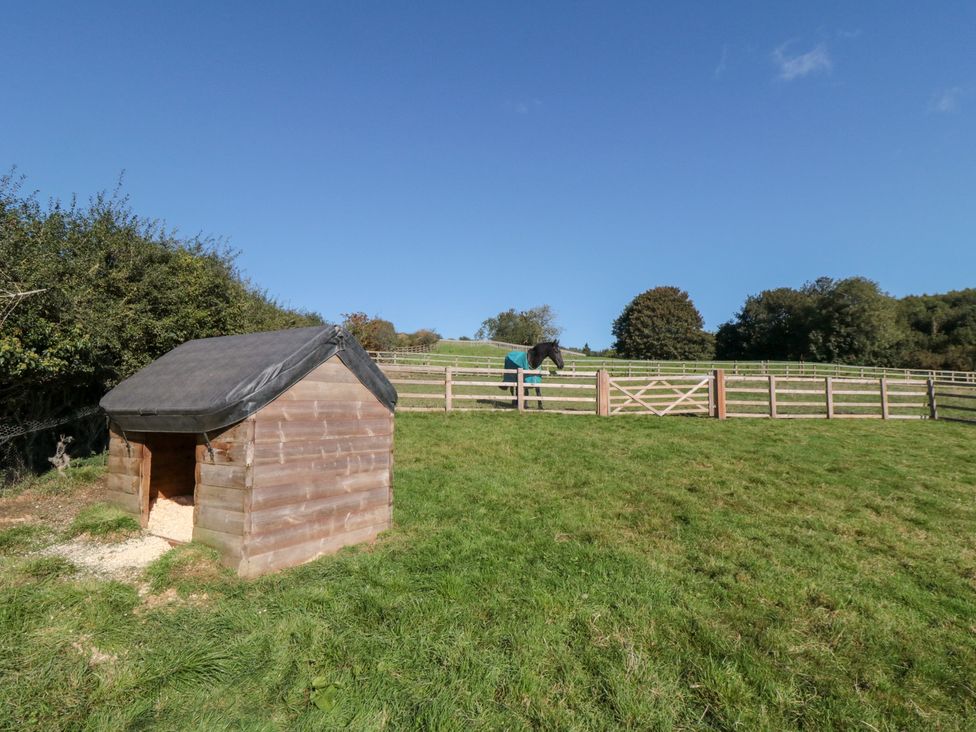 A shed and horse in a fenced area at Hare's Hill in Thornton-Le-Dale
