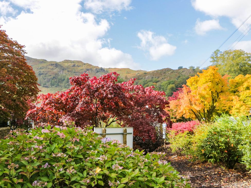A garden with various trees and mountains in the background at 2 Bakers Yard