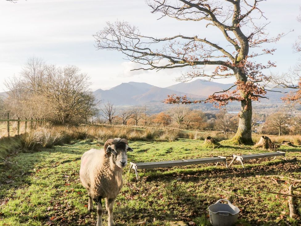 Lakeland View - Lake District - 1165181 - thumbnail photo 53