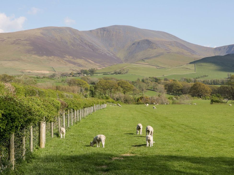 Lakeland View - Lake District - 1165181 - thumbnail photo 55