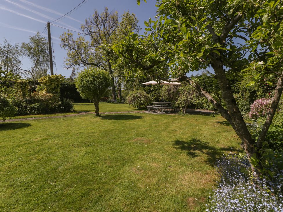 Cefn Campstone - South Wales - 1165347 - thumbnail photo 40