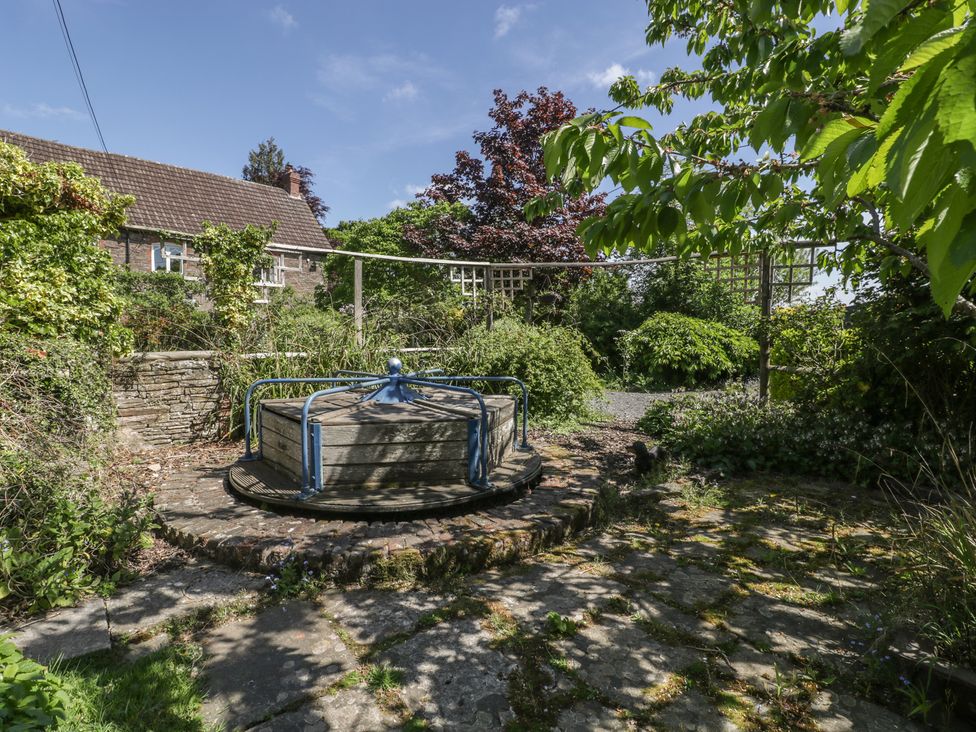 Cefn Campstone - South Wales - 1165347 - thumbnail photo 45