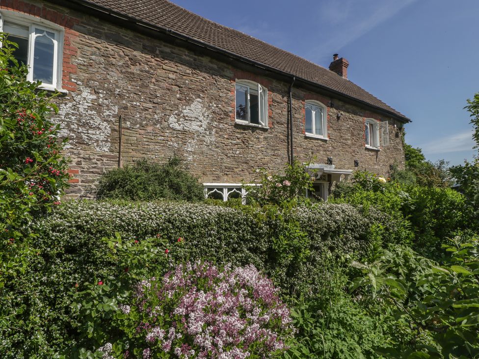 Cefn Campstone - South Wales - 1165347 - thumbnail photo 56